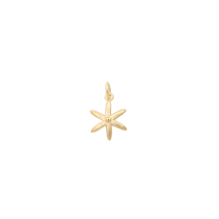 Star Charm - Anne Sportun Fine Jewellery