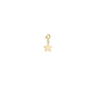 Midi Bitty Star Charm | 14k - Final Sale - Anne Sportun Fine Jewellery