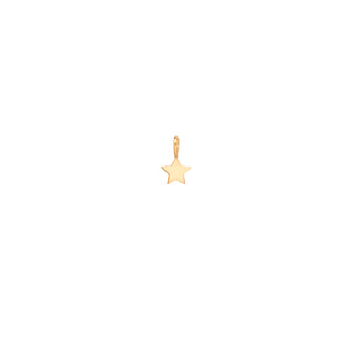 Midi Bitty Star Charm | 14k - Final Sale - Anne Sportun Fine Jewellery