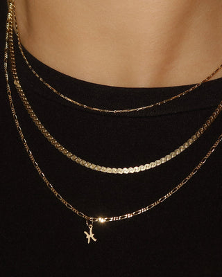 Petite Zodiac Charms | 10k Gold