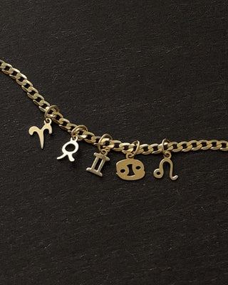 Petite Zodiac Charms | 10k Gold