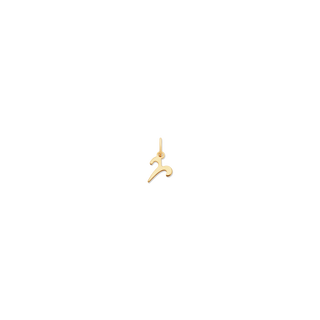 Petite Zodiac Charms | 10k Gold