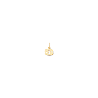 Petite Zodiac Charms | 10k Gold