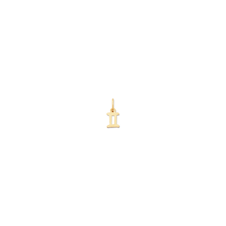 Petite Zodiac Charms | 10k Gold