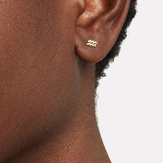 Itty Bitty Zodiac Stud | 14k - Anne Sportun Fine Jewellery